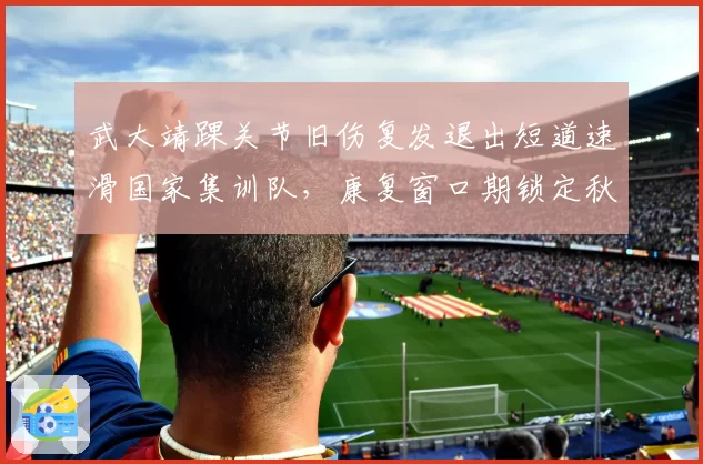武大靖踝关节旧伤复发退出短道速滑国家集训队，康复窗口期锁定秋季