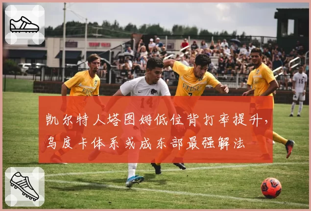 凯尔特人塔图姆低位背打率提升，乌度卡体系或成东部最强解法