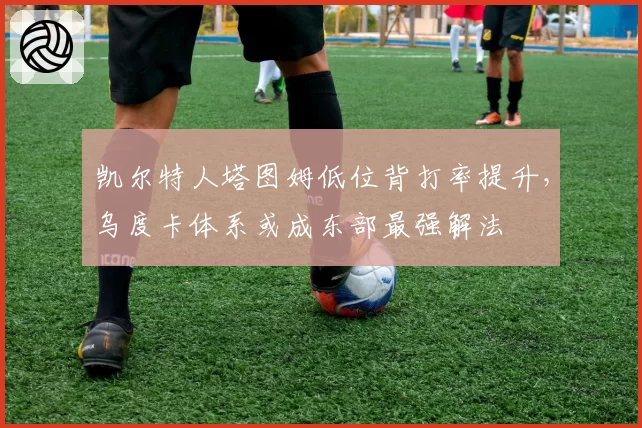凯尔特人塔图姆低位背打率提升，乌度卡体系或成东部最强解法