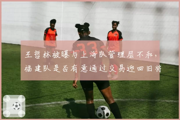 王哲林被曝与上海队管理层不和，福建队是否有意通过交易迎回旧将？